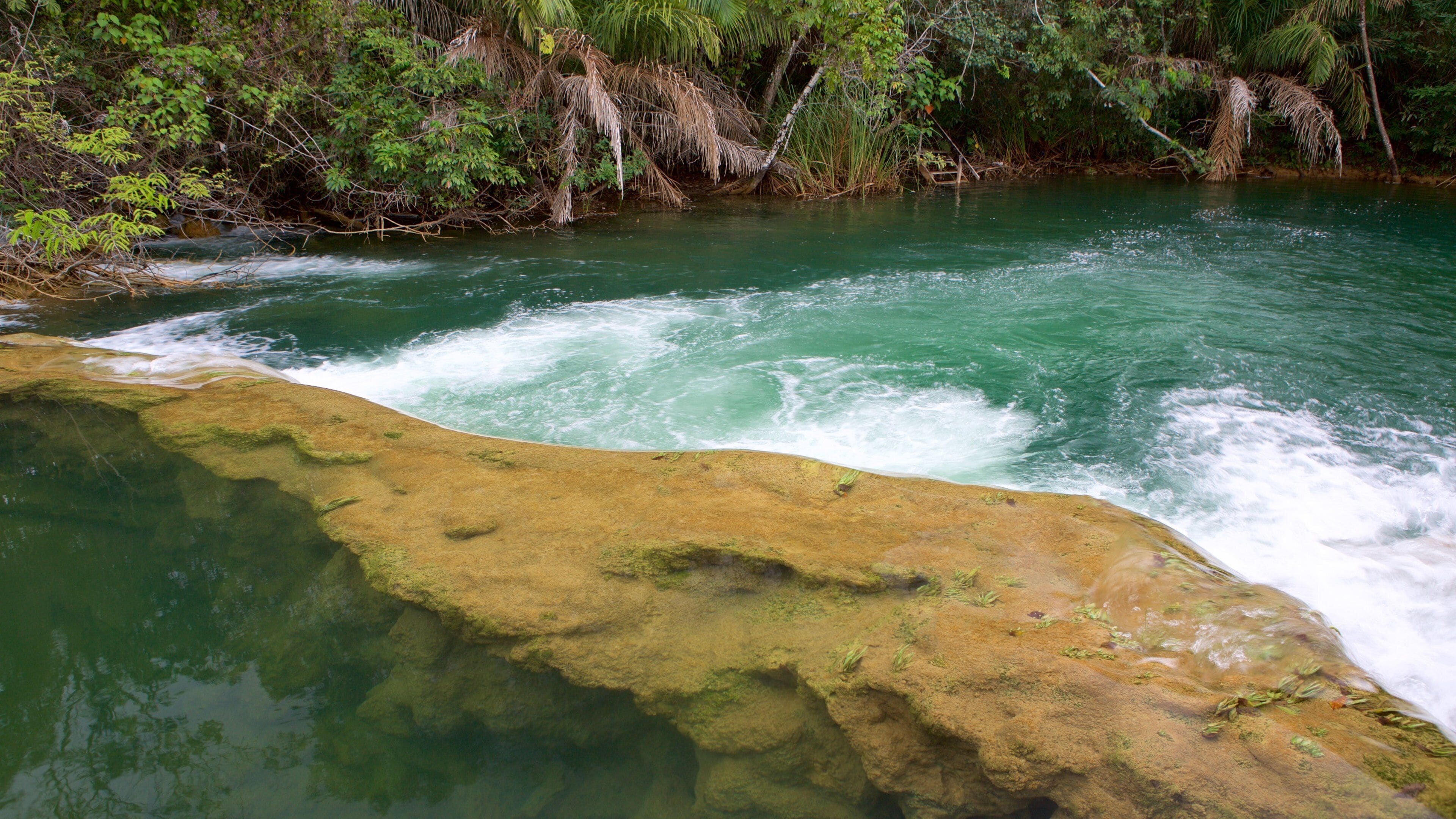 Formosa River Ecological Park featuring a river or creek, rainforest and rapids