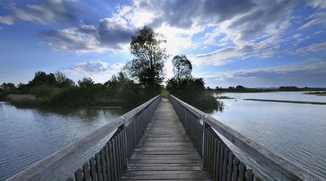 Wooden Bridge over Lake in Morning, Altmuhlsee, Muhr am See, Franconia, Bavaria, Germany