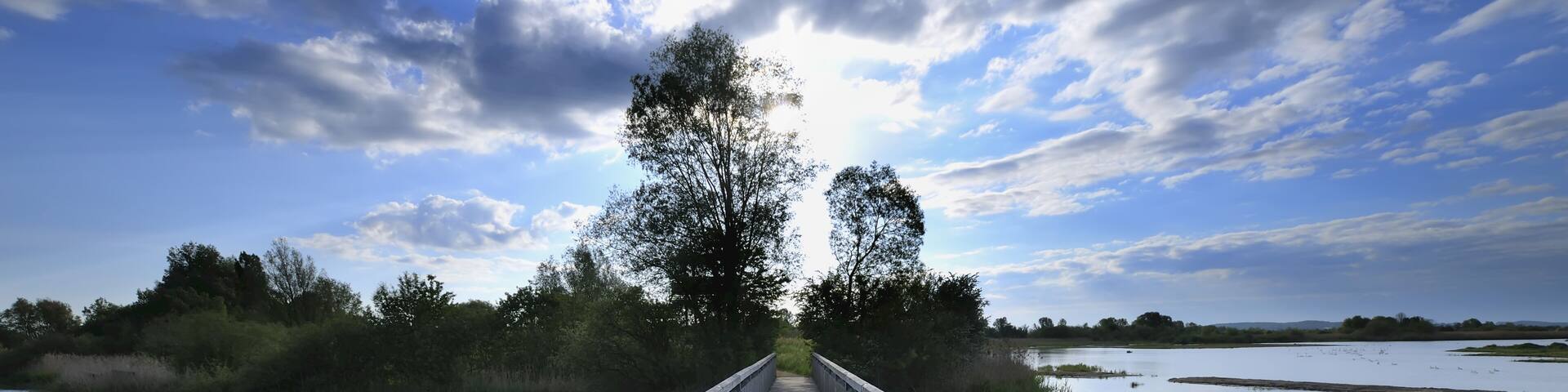 Wooden Bridge over Lake in Morning, Altmuhlsee, Muhr am See, Franconia, Bavaria, Germany