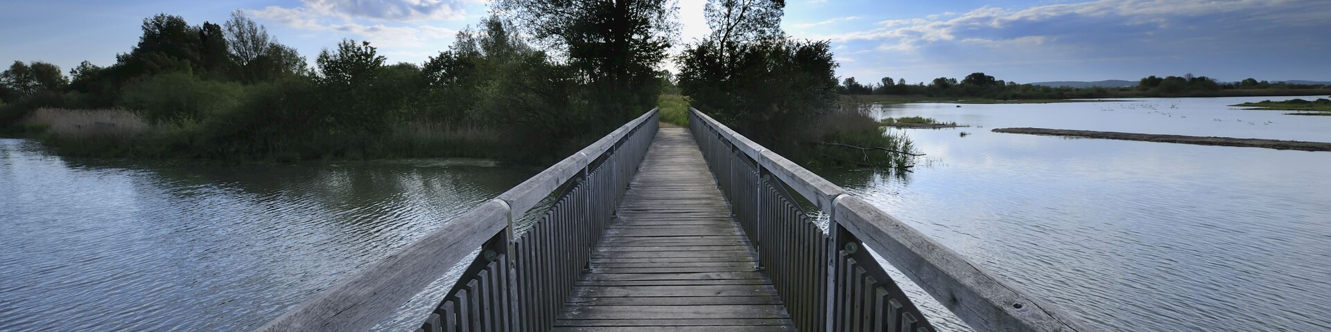 Wooden Bridge over Lake in Morning, Altmuhlsee, Muhr am See, Franconia, Bavaria, Germany