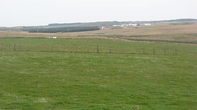 Pasture, Brownhill Farm The River Almond runs between improved farmland and rough grazing land.