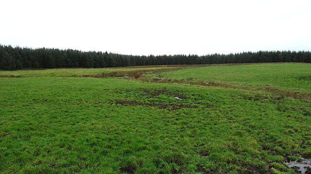 Field by Harthill Grassland before a large forestry plantation.