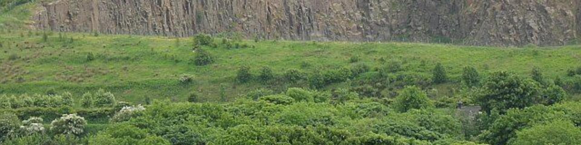 Tam's Loup Quarry One of several big whinstone quarries around the Harthill area. The M8 runs through the middle distance along with the former A8. Both are hidden by trees.