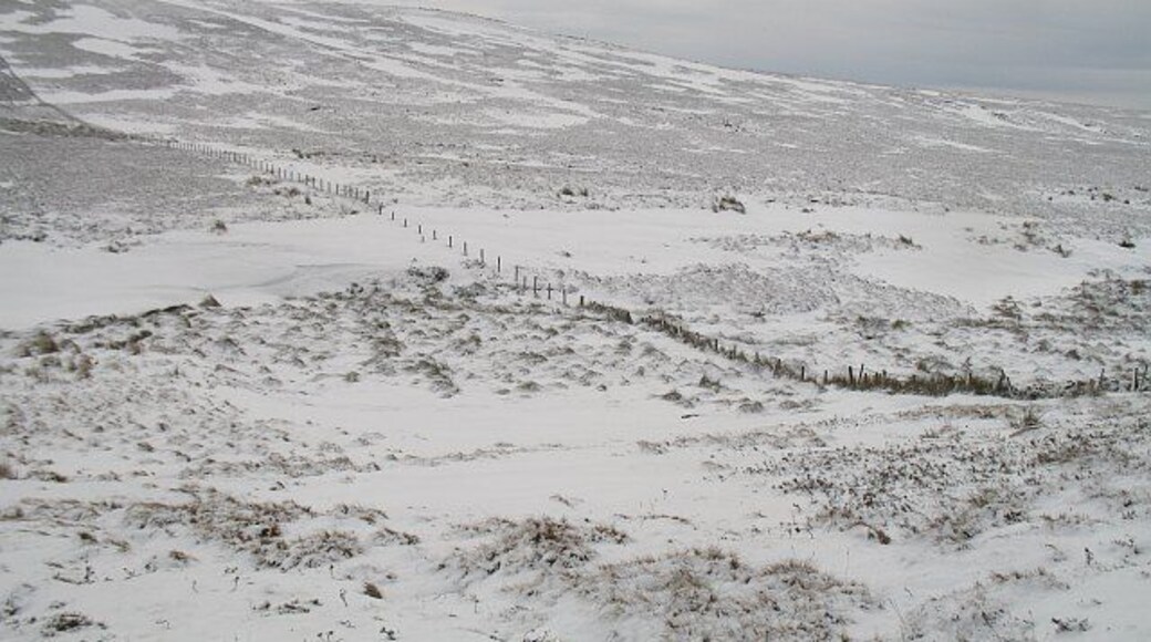 Crosswood Burn The burn runs beside the big drift. This is the low point of the fence running between Mealowther and Craigengar.