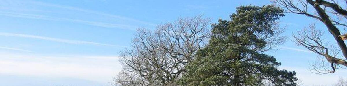West Harwood. Scattered trees and rashy wet farmland above West Harwood. Looking SW.
