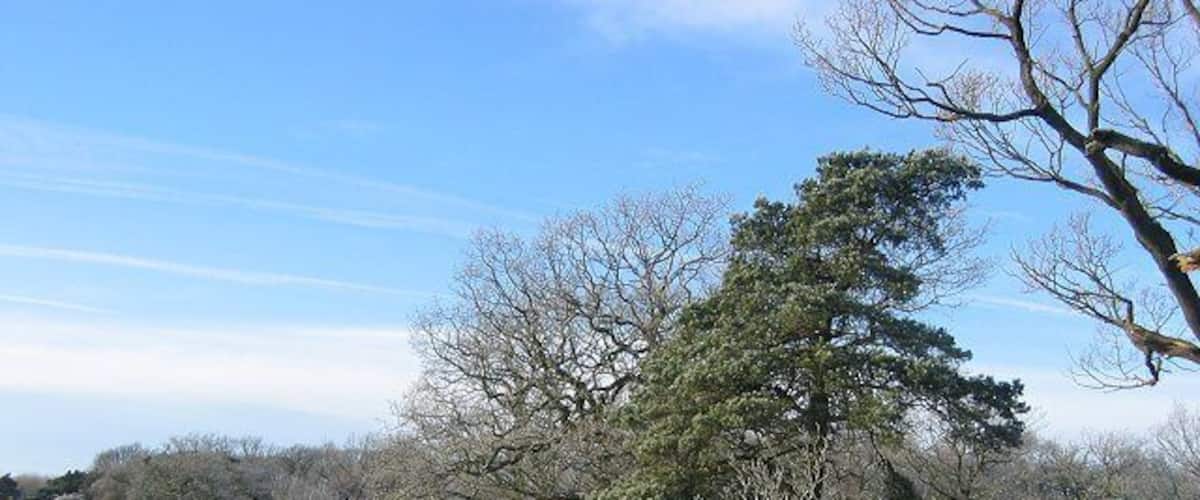 West Harwood. Scattered trees and rashy wet farmland above West Harwood. Looking SW.
