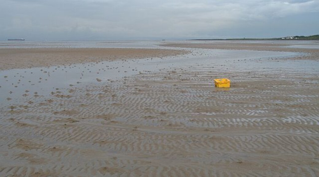 Fish box, Gosford Sands Fishbox washed up on the sands, a short way offshore.