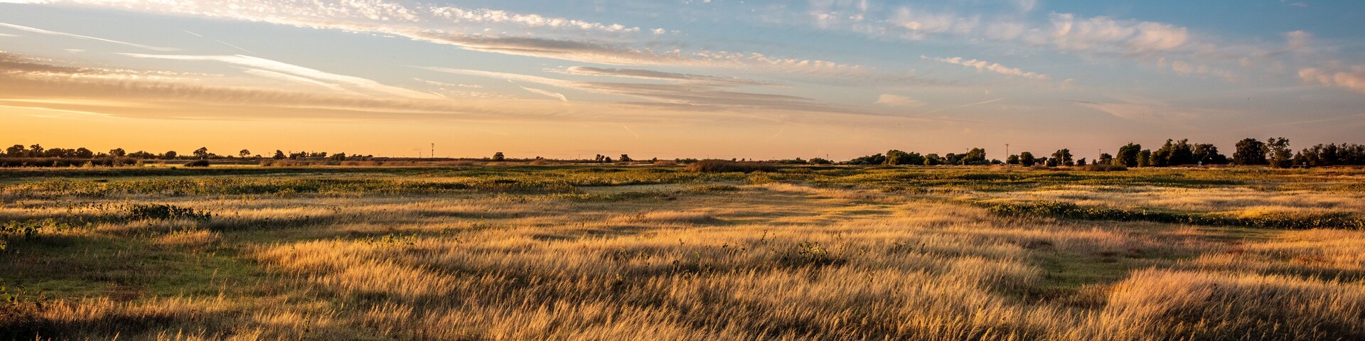 Un extenso campo abierto con hierba alta bajo un cielo despejado.