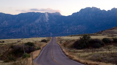 Una carretera que atraviesa un paisaje montañoso de vegetación escasa.