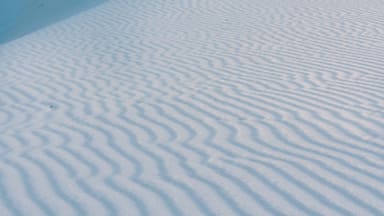 Otherworldly and endlessly photogenic! This stretch of pillowy white gypsum sand dunes is not to be missed if youâre traveling through New Mexico.