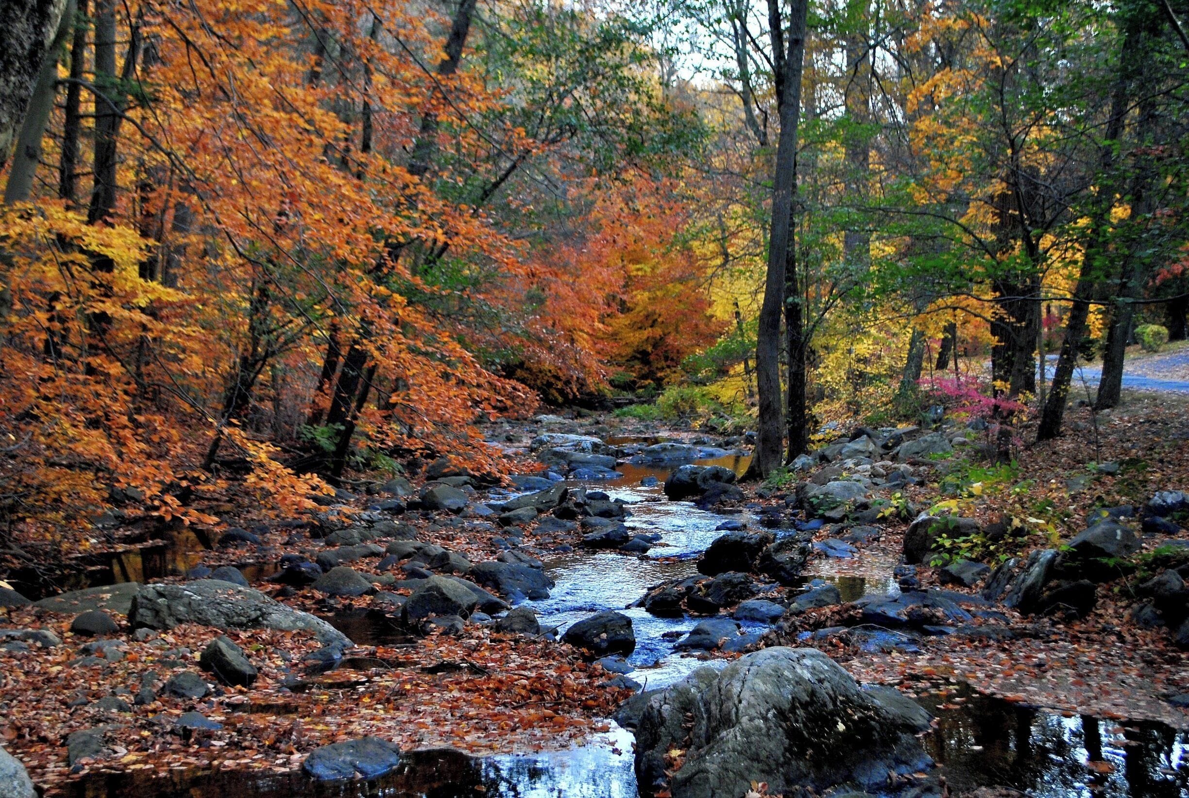 Come here in the early fall for some  spooky and colorful fun.
