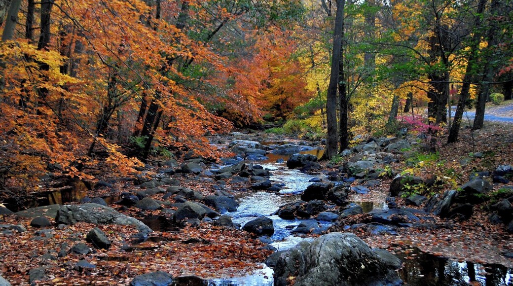 Come here in the early fall for some spooky and colorful fun.