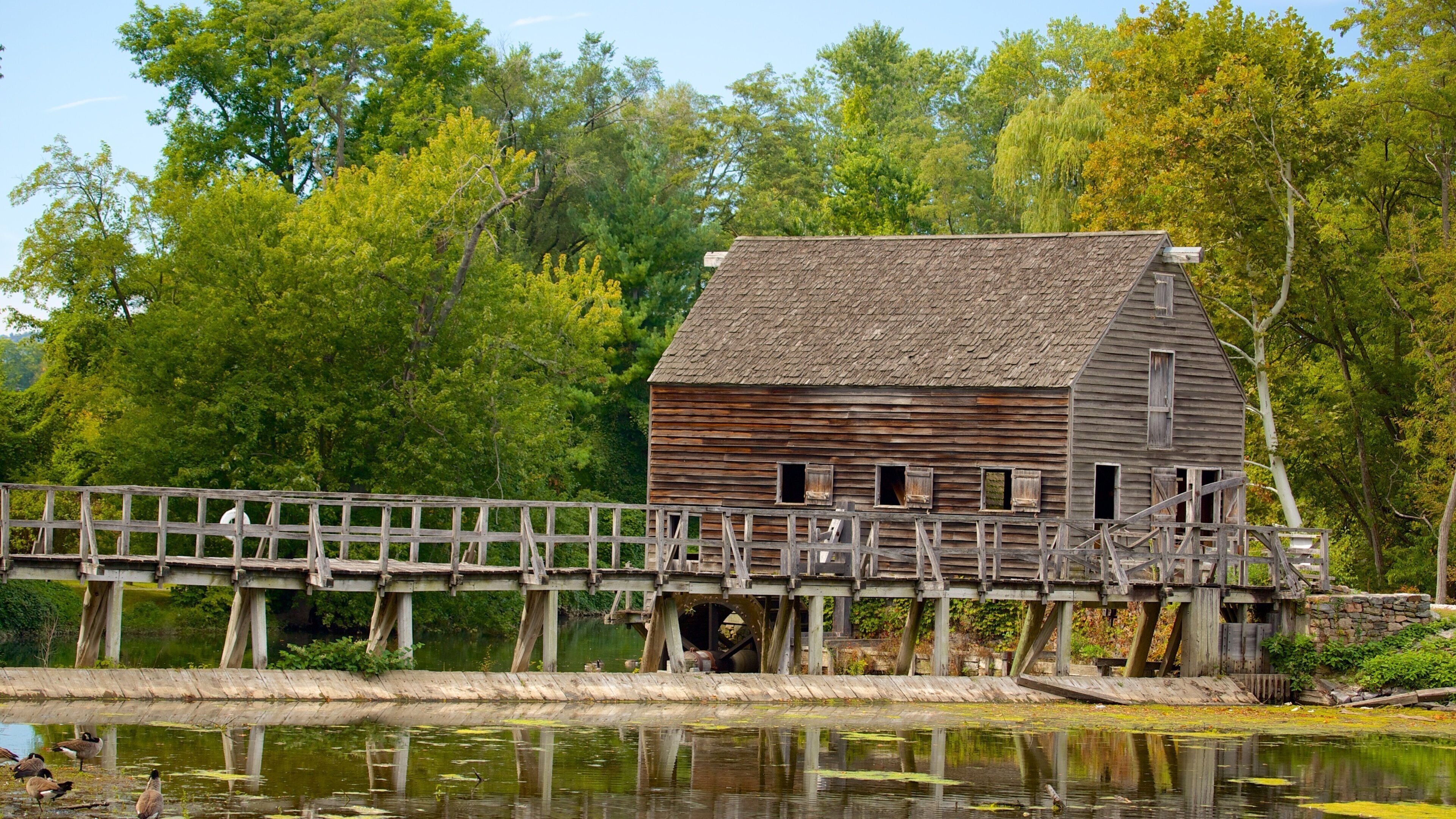 A wooden structure with a bridge over a body of water, surrounded by trees.