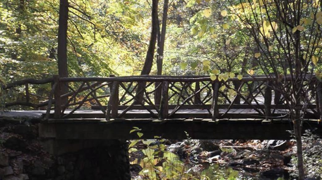 Sleepy Hollow New York.....