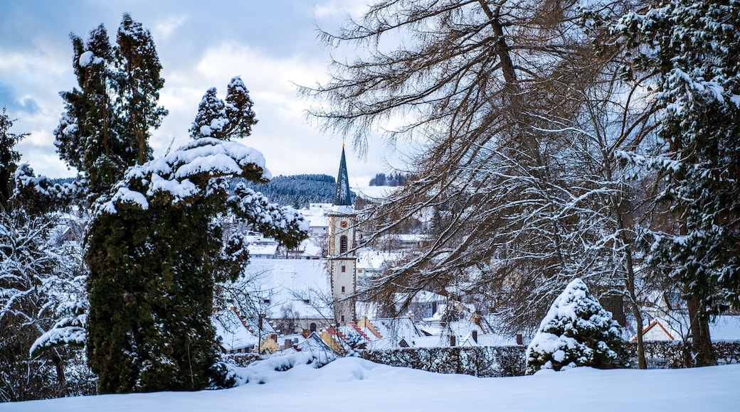 The beautiful church in the small town of Löffingen on a snowy winter day peeking through trees