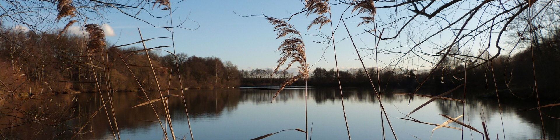 Steinrodsee im Dezember 2011