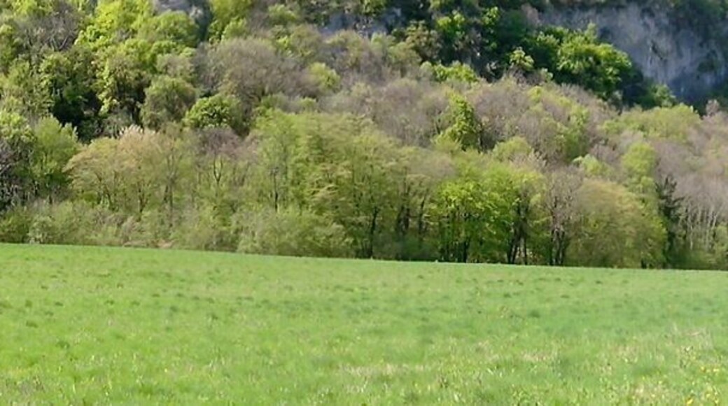 Derrière prés Faure5