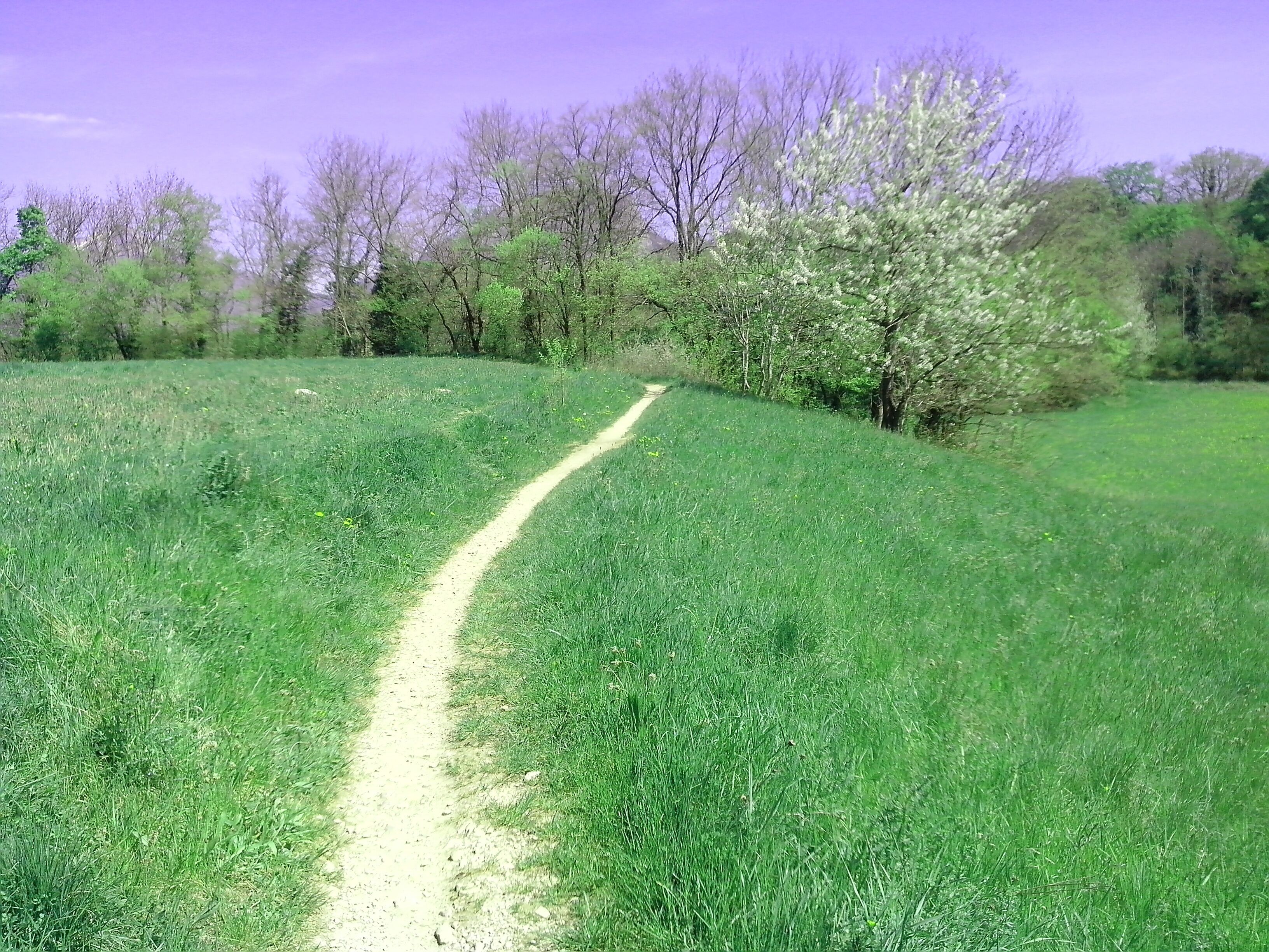 Derrière prés Faure3