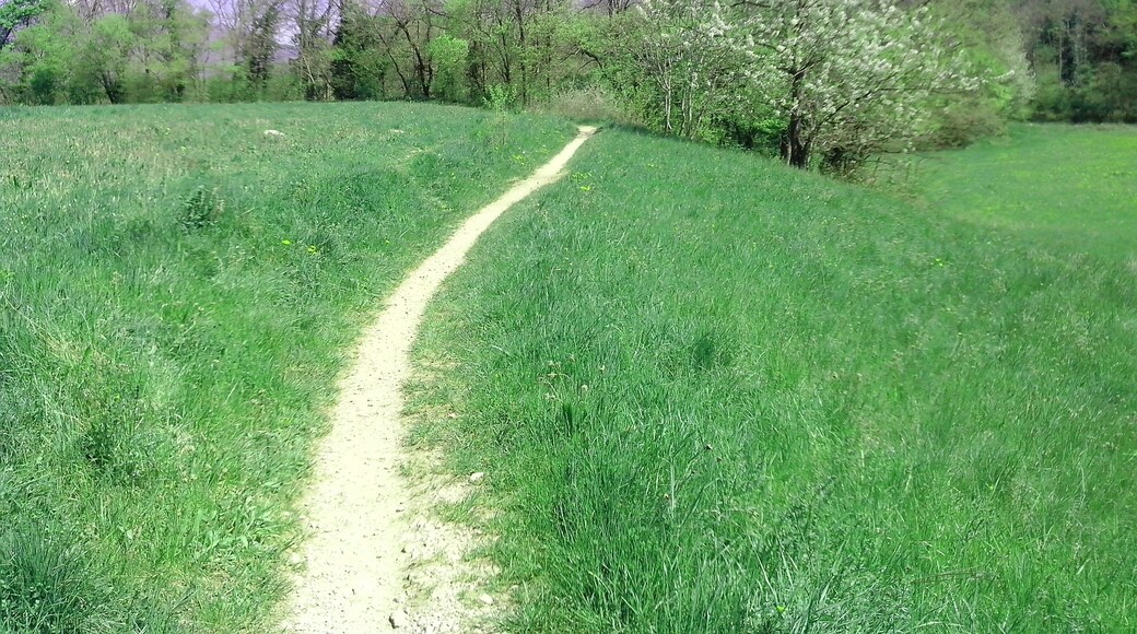 Derrière prés Faure3