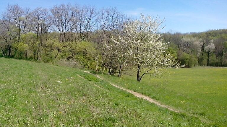 Derrière prés Faure4