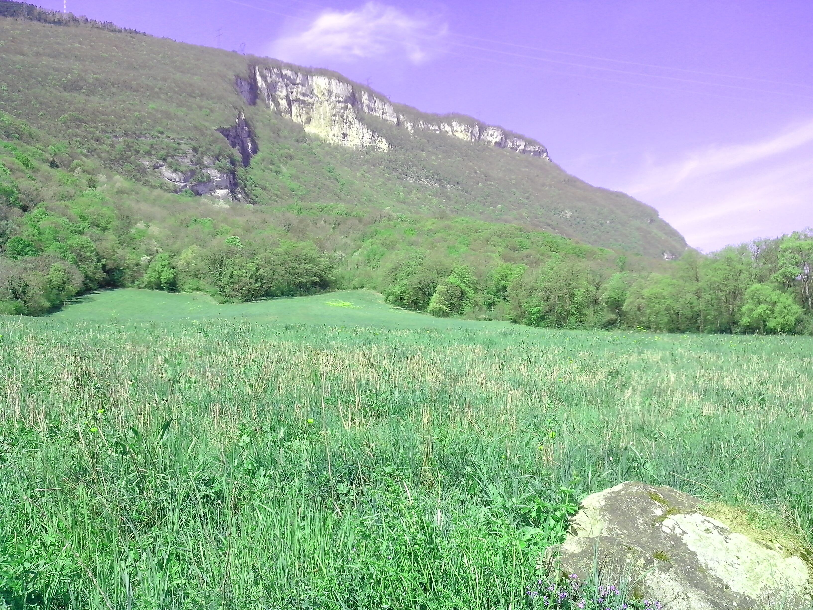 Derrière prés Faure2