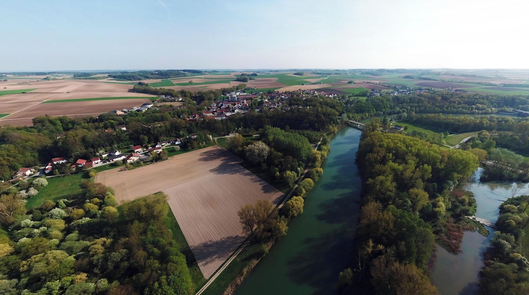 Untere Isar zwischen Landau und Plattling (FFH-Gebiet)