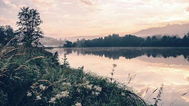 River Regen in evening light