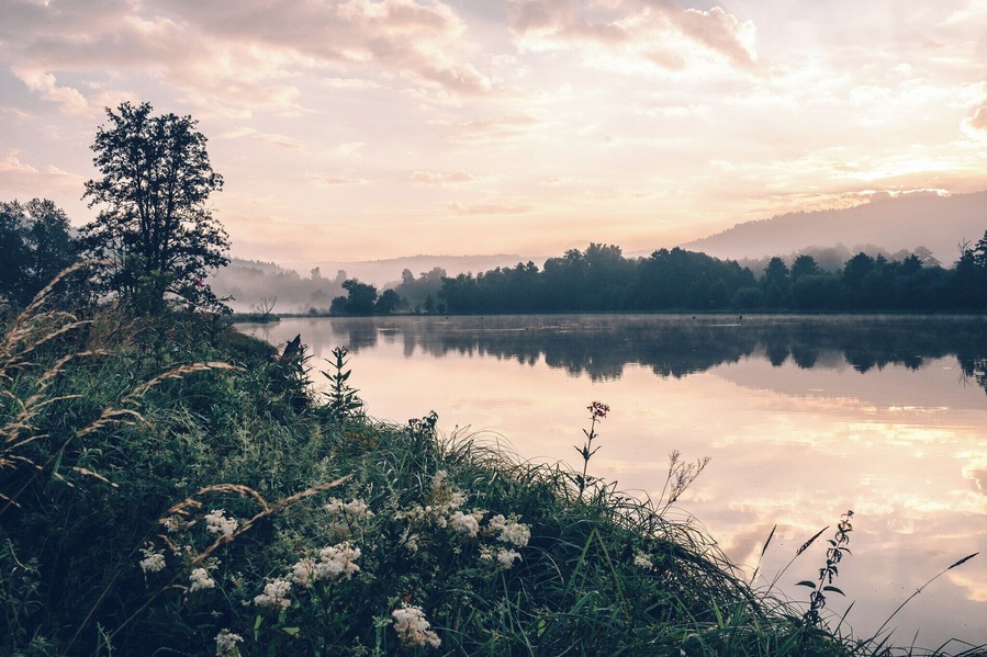 A calm lake with a misty forest and mountains in the background.