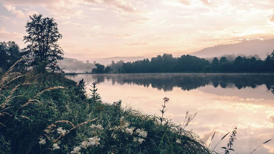 A calm lake with a misty forest and mountains in the background.