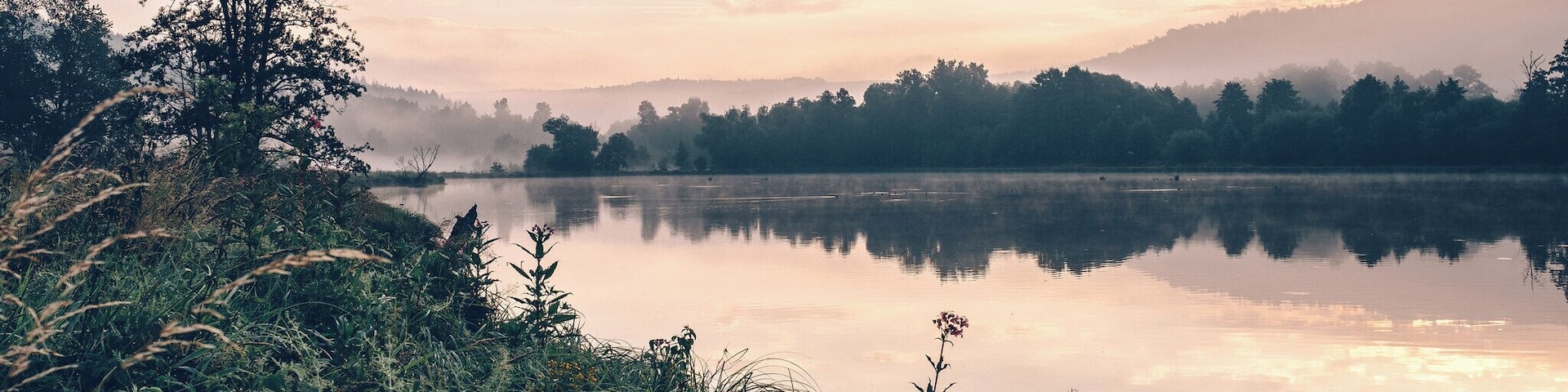 River Regen in evening light