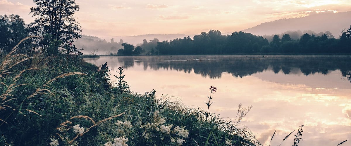 A calm lake with a misty forest and mountains in the background.