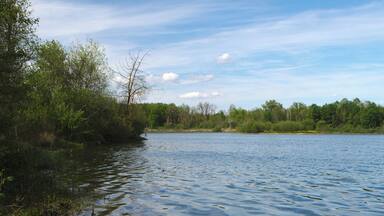 Weiher in den Donauauen östlich von Neuburg und südlich der Donau. LSG-00400.01, FFH 7233-372