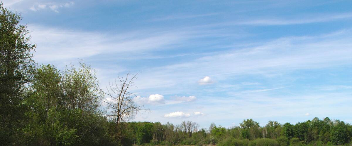 A calm river with clear water, surrounded by dense greenery and trees.