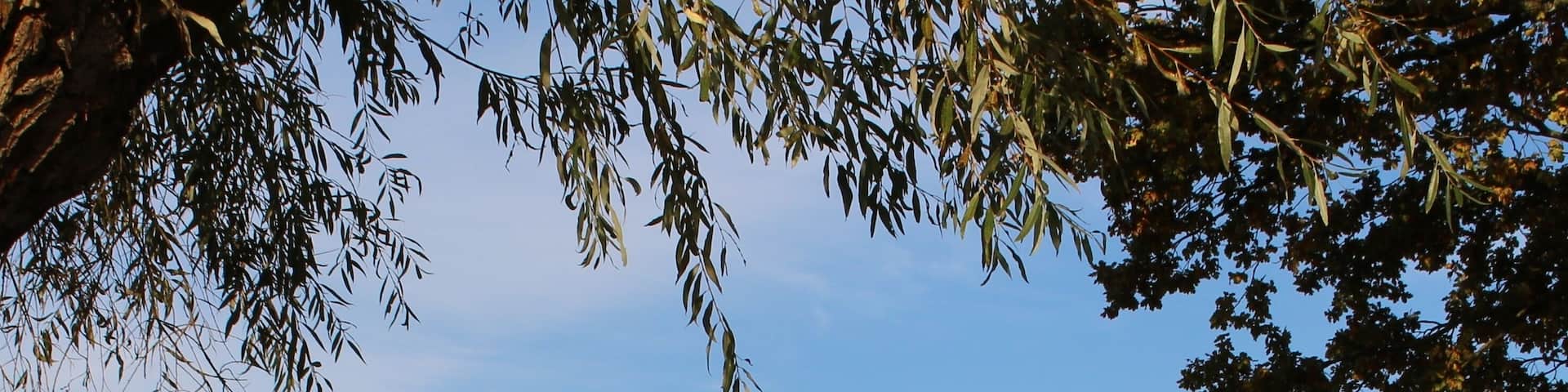 Das "Drei-Länder-Eck-Marterl" markiert die gemeinsame Grenze der Orte Neustadt an der Donau, Münchsmünster, Pförring, der Landkreise Kelheim, Pfaffenhofen, Eichstätt bzw der Regierungsbezirke Nieder- und Oberbayern