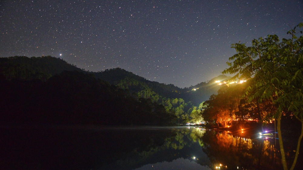 The take and its refference at night
Stars and trees.