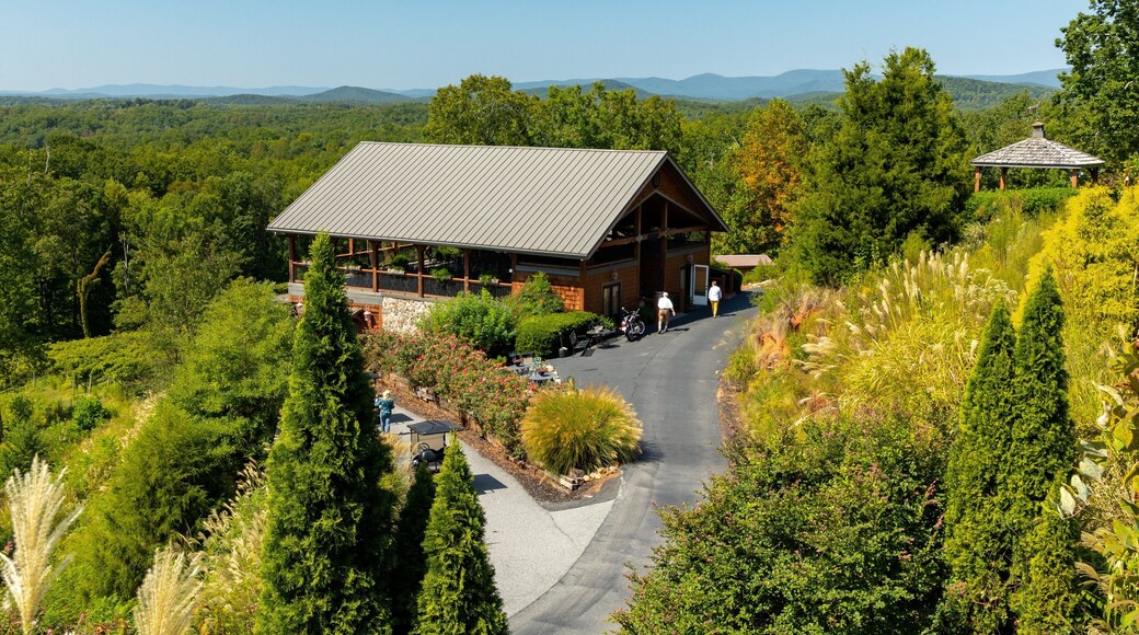 Wolf Mountain Vineyards showing landscape views
