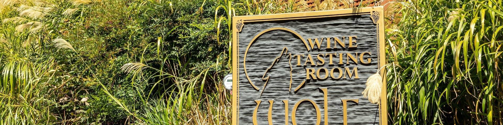 A sign for 'WINE TASTING ROOM' at 'MOUNTAIN VINEYARDS'.