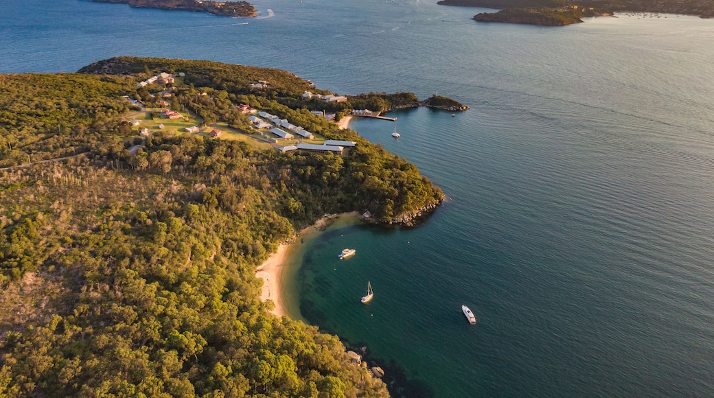 Aerial drone evening view of the Quarantine Station, part of Sydney Harbour National Park. Store Beach in foreground. Sydney harbour with North Head & South Head and city skyline in background.
