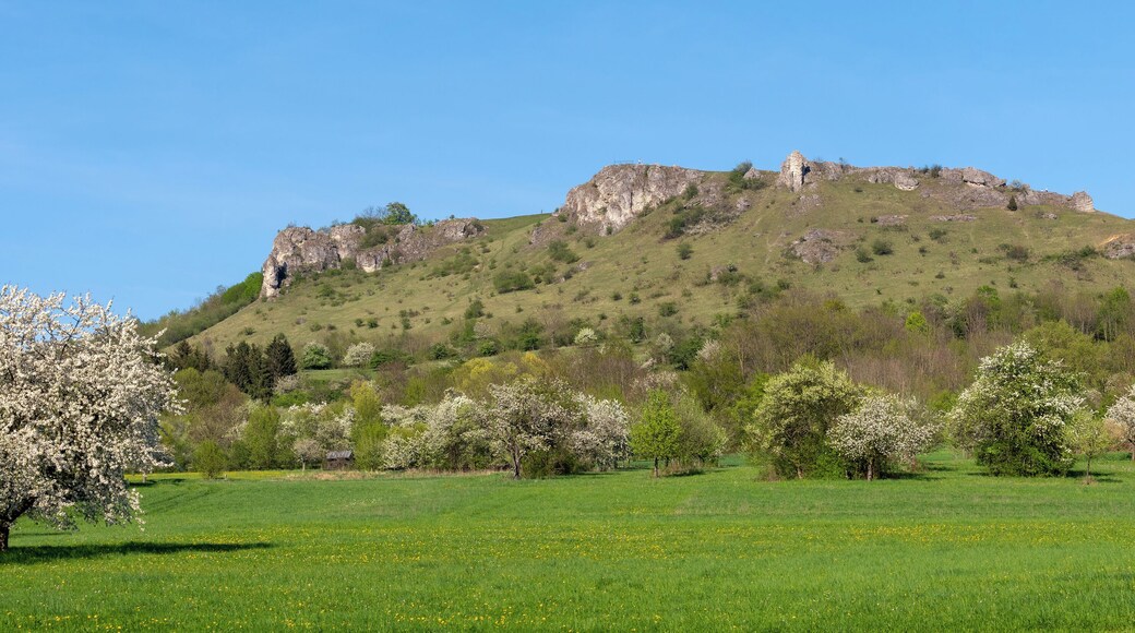 This is a picture of the protected area listed at WDPA under the ID