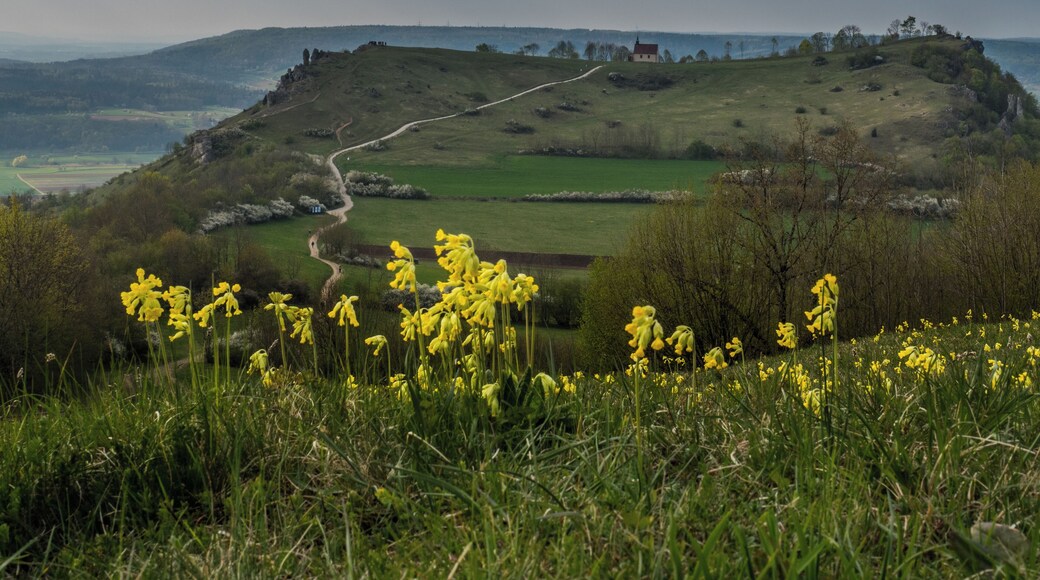 Ehrenbürg near Forchheim in the LSG "Franconian Switzerland - Veldenstein Forest"