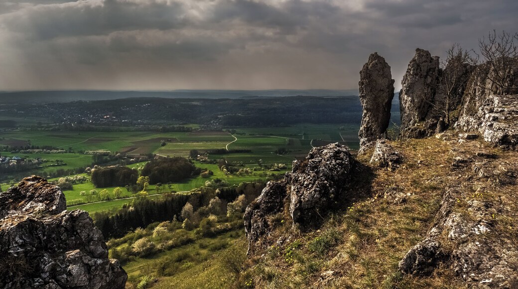EhrenbĂŒrg near Forchheim in the LSG "Franconian Switzerland - Veldenstein Forest"