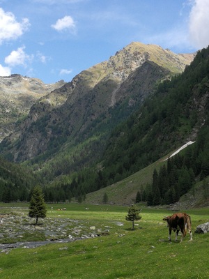 Val Fontana (Q49960737)