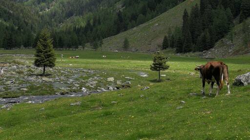 Val Fontana (Q49960737)