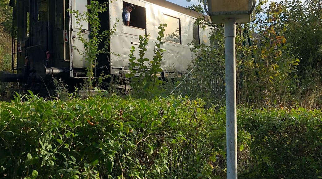 Schwanengarten with Steam locomotion