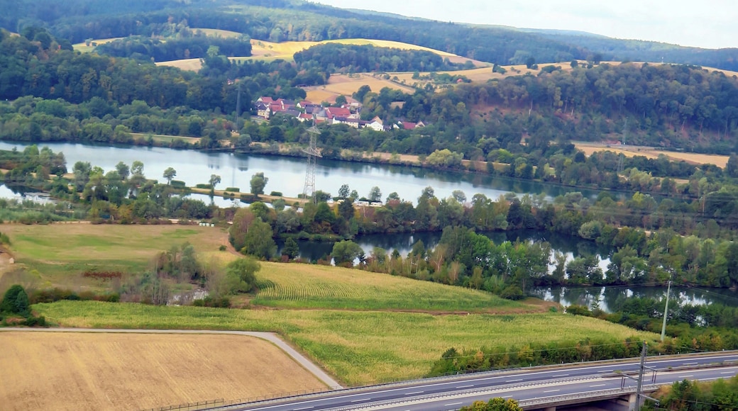 (NSG:BY-NSG-00542.01)_Vogelfreistätte Graureiherkolonie bei Dippach am Main - Blick vom Spitzelberg bei Stettfeld über das Naturschutzgebiet in Richtung Dippach