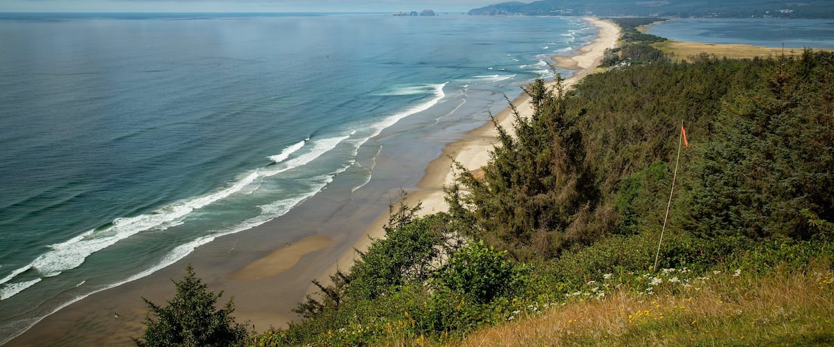 A coastal landscape with a sandy beach, ocean waves, and a forested hillside.
