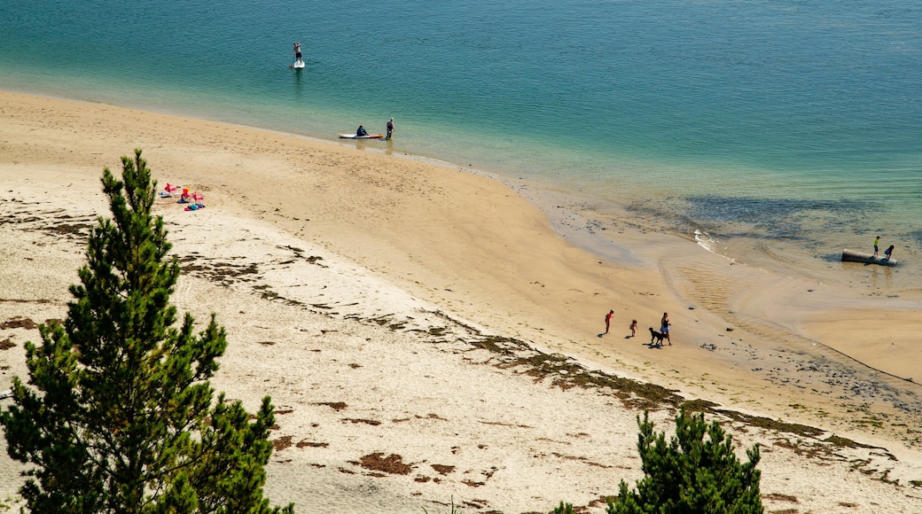 Cape Lookout State Park which includes a sandy beach and general coastal views