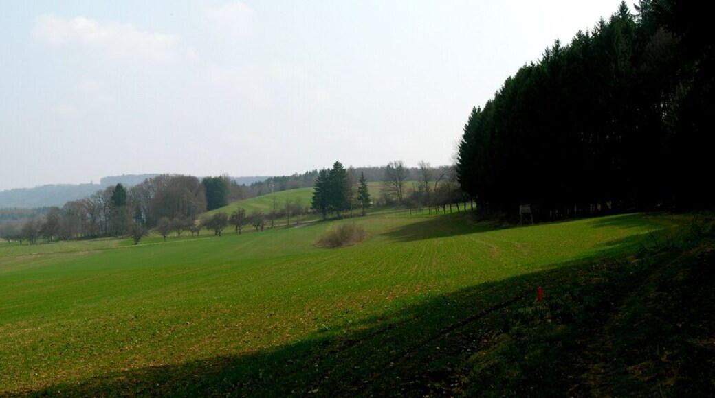 Germany, Baden-Württemberg, Randegg