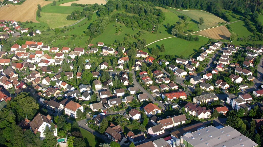 Aerial View of Randegg