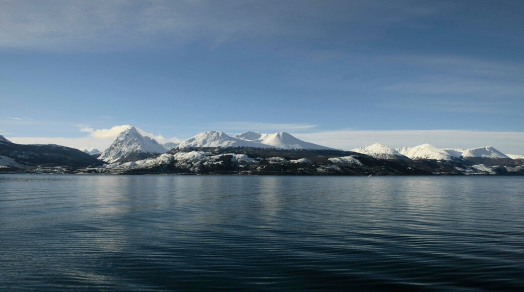 Tierra del Fuego featuring general coastal views, snow and mountains